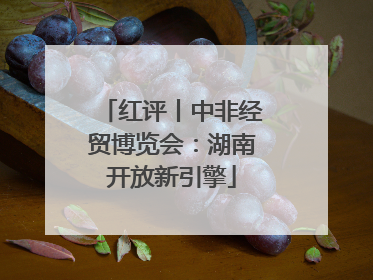 红评丨中非经贸博览会：湖南开放新引擎